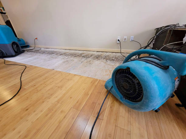 Professional Emergency Water Damage technician working in Frazee, MN